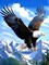 Hawk Diamond Art Kits for Adults &Beginner, Animals Diamond Painting, 5D Gem Art Painting Kits with Round Diamonds, Eagle&Mountain Diamond dots for Home Wall Gift Decor (12x16inch)